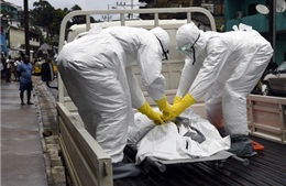 Đã có hơn 7.000 trường hợp nhiễm Ebola ở Tây Phi
